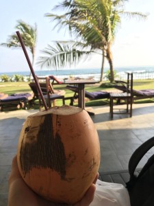 Золотой кокос - сок на Шри Ланке